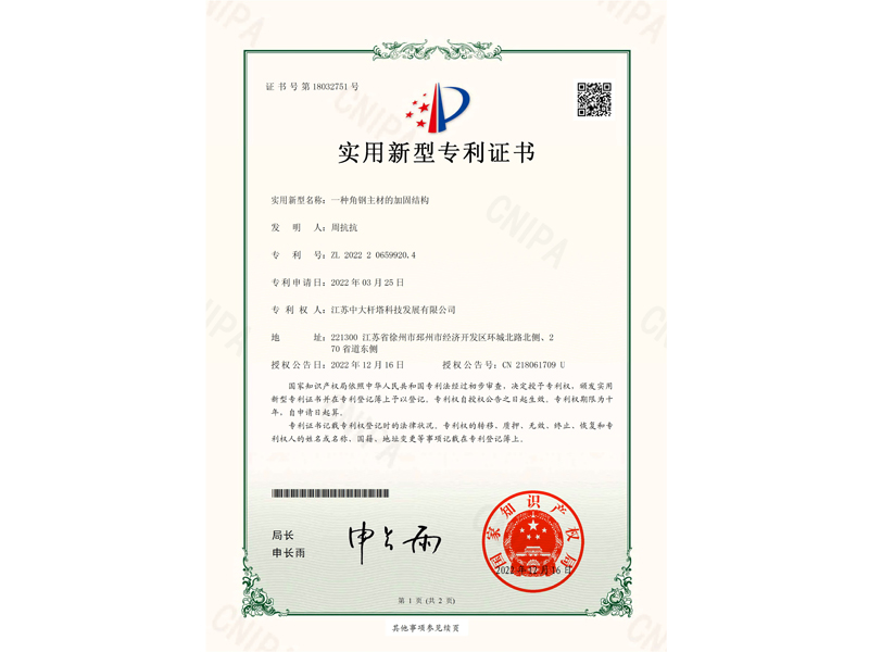 一种角钢主材的加固结构